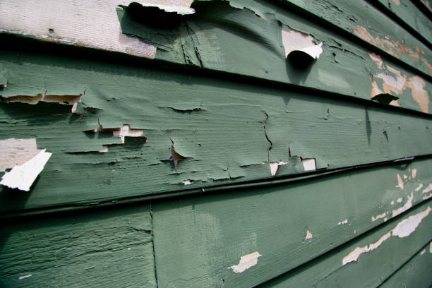 Trusted Whiteman Af, MO Junk Removal Experts