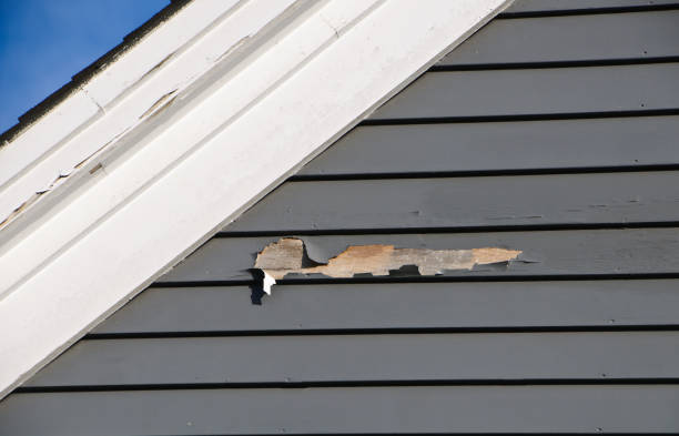 Best Property Management Cleanouts  in Whiteman Af, MO
